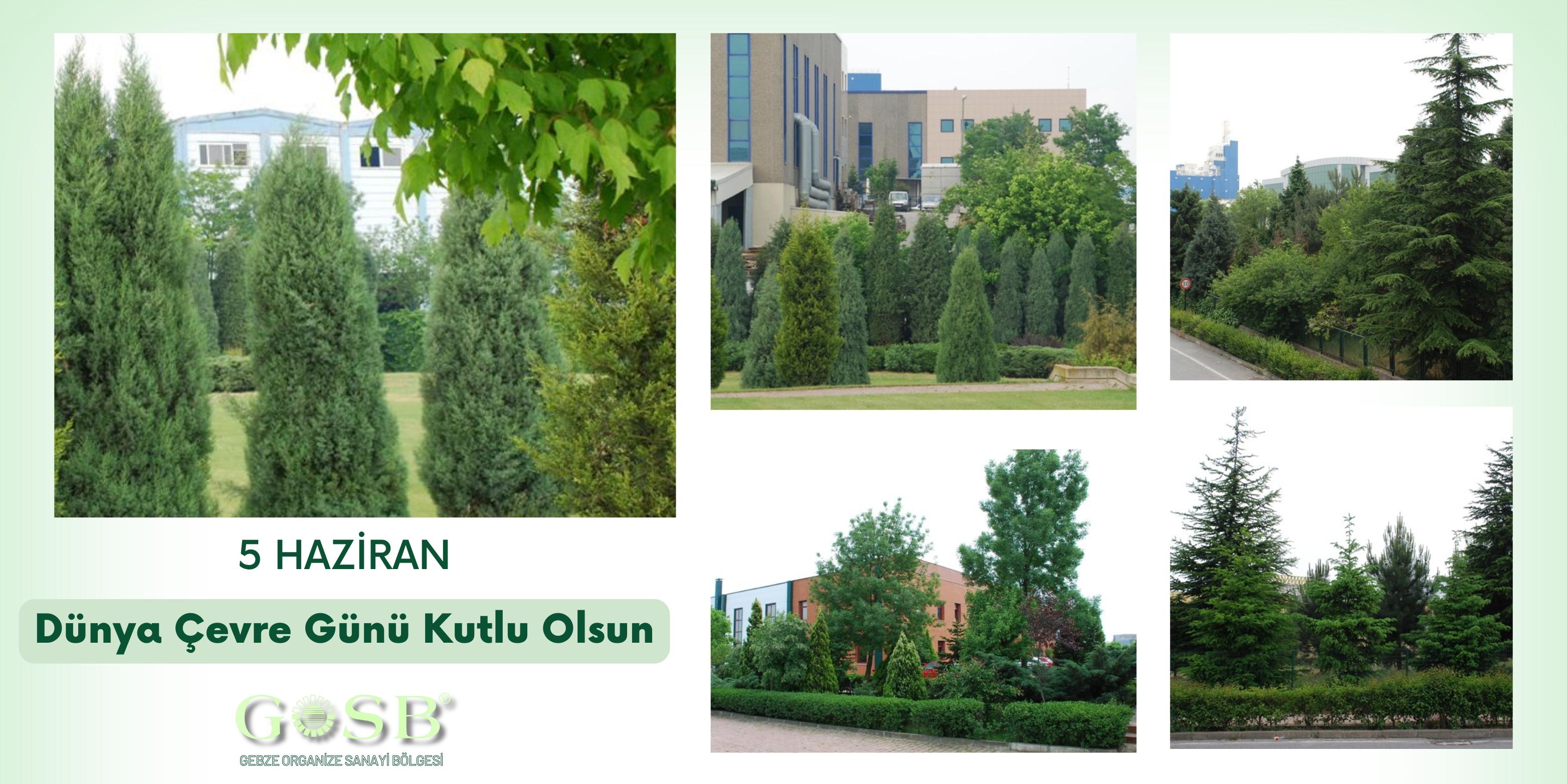 5 HAZİRAN DÜNYA ÇEVRE GÜNÜ KUTLU OLSUN